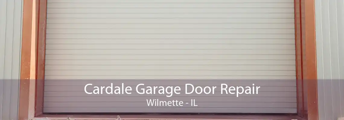 Cardale Garage Door Repair Wilmette - IL