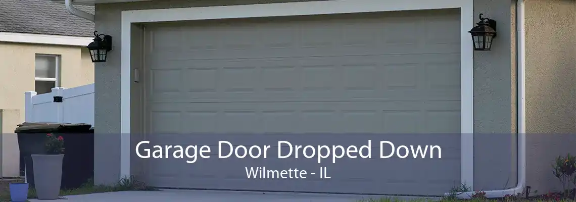 Garage Door Dropped Down Wilmette - IL