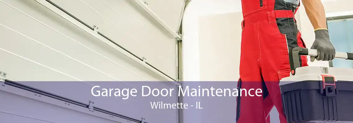 Garage Door Maintenance Wilmette - IL