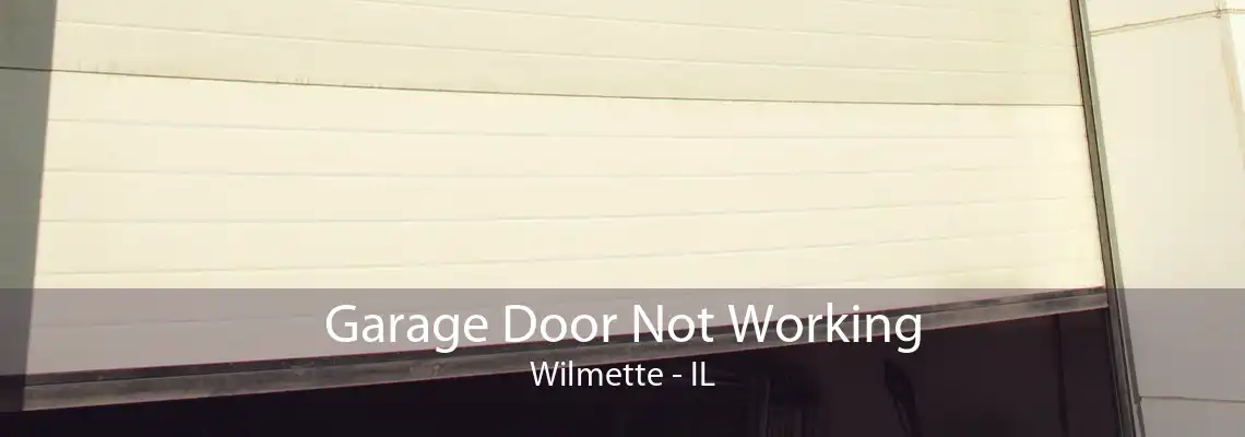 Garage Door Not Working Wilmette - IL