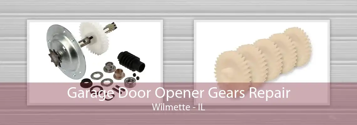 Garage Door Opener Gears Repair Wilmette - IL