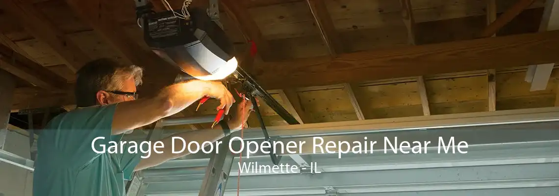 Garage Door Opener Repair Near Me Wilmette - IL