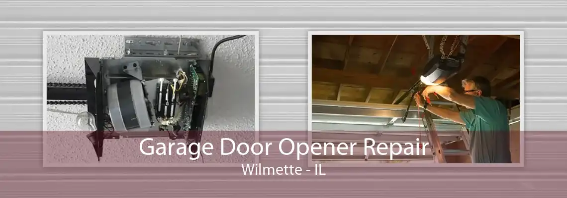 Garage Door Opener Repair Wilmette - IL