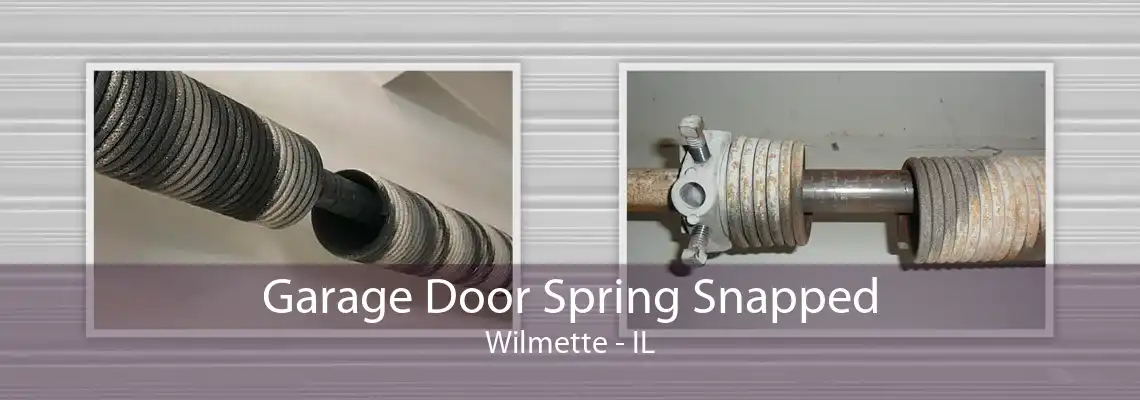 Garage Door Spring Snapped Wilmette - IL