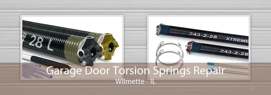 Garage Door Torsion Springs Repair Wilmette - IL