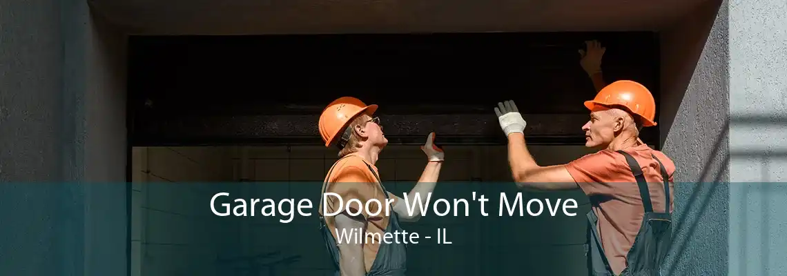 Garage Door Won't Move Wilmette - IL