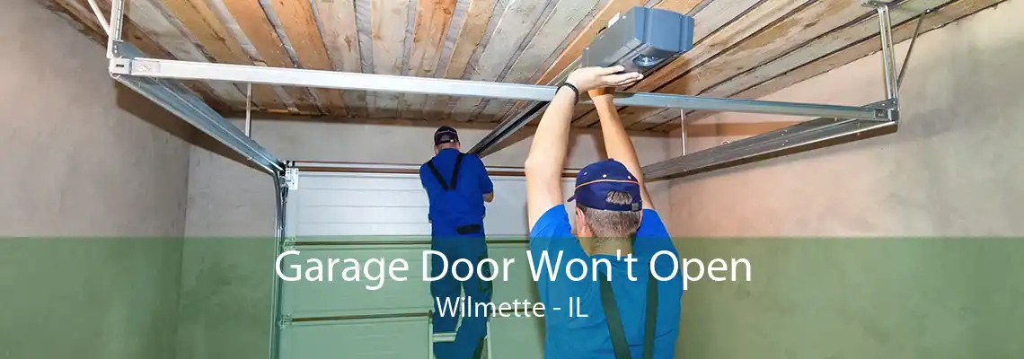 Garage Door Won't Open Wilmette - IL